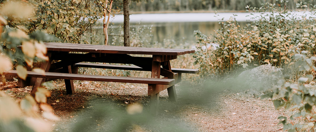 bench in a park